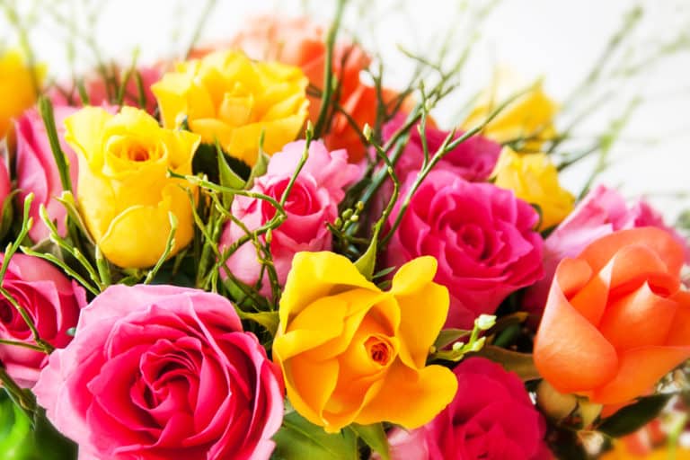 Le boom de l’achat de fleurs par internet