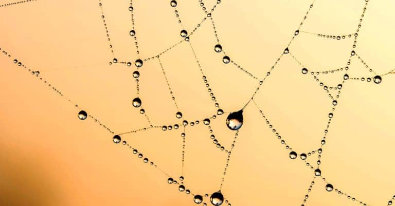 Quelles sont les tendances actuelles dans la conception de sites web ?